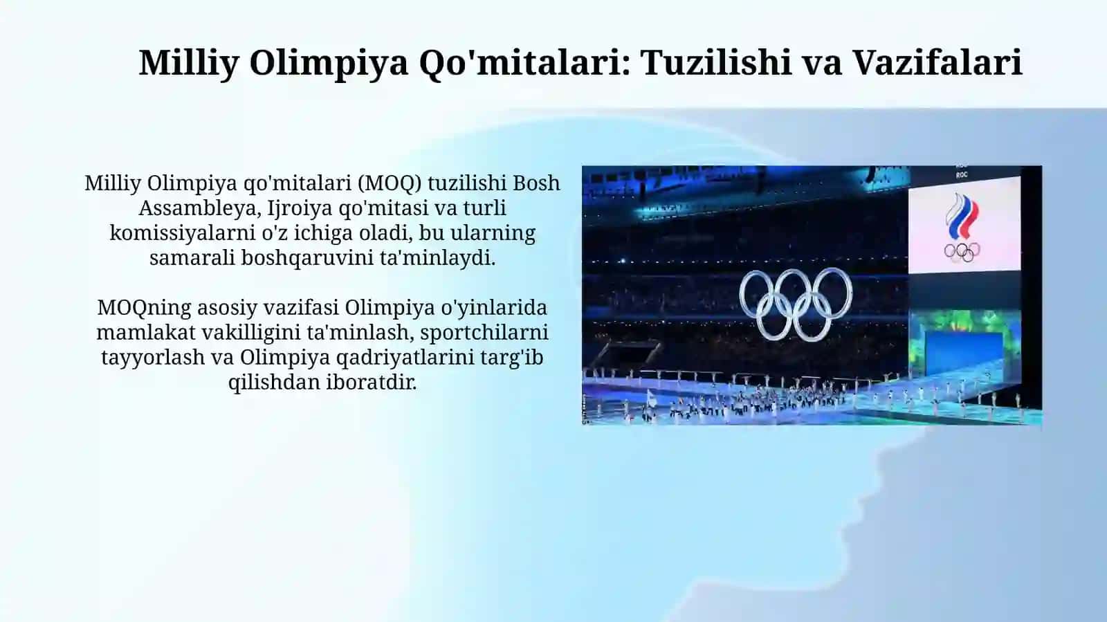 Milliy Olimpiya Qo'mitalari: Tuzilishi va Vazifalari 3