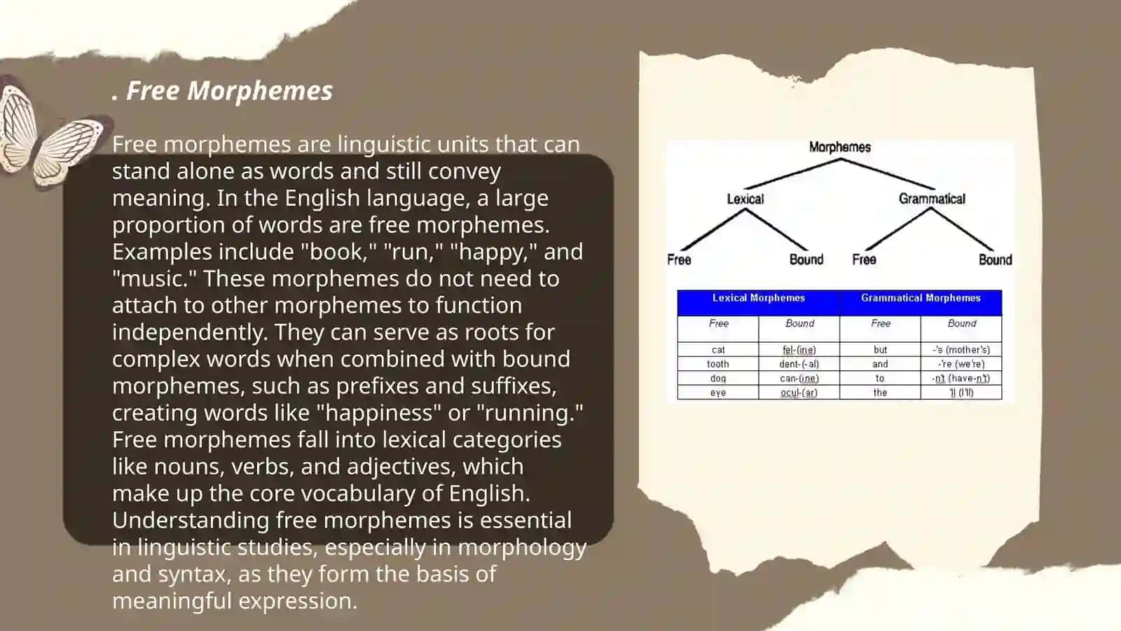 Morphemes. Types of morphemes 3