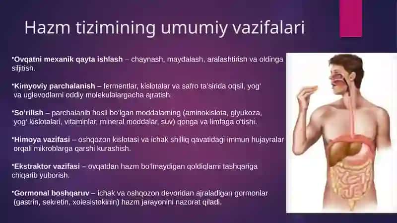 jigarning hazm jarayonidagi oʼrni 3