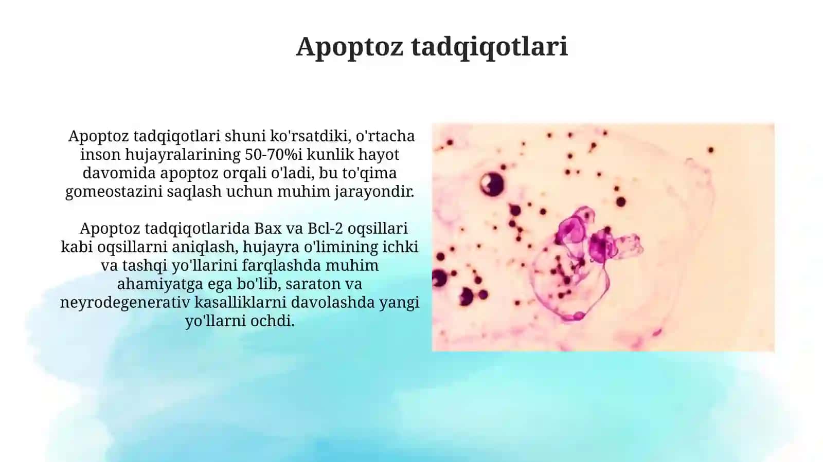 Hujayra apoptozi 3