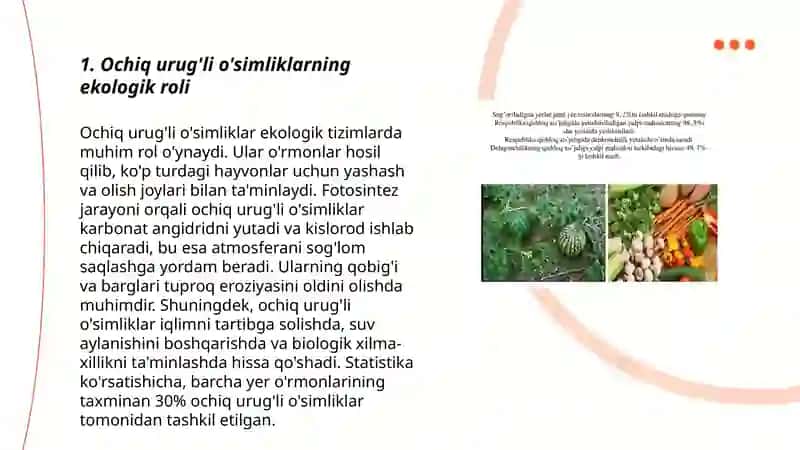 Ochiq uruģli ósimliklarni ahamiyati 3