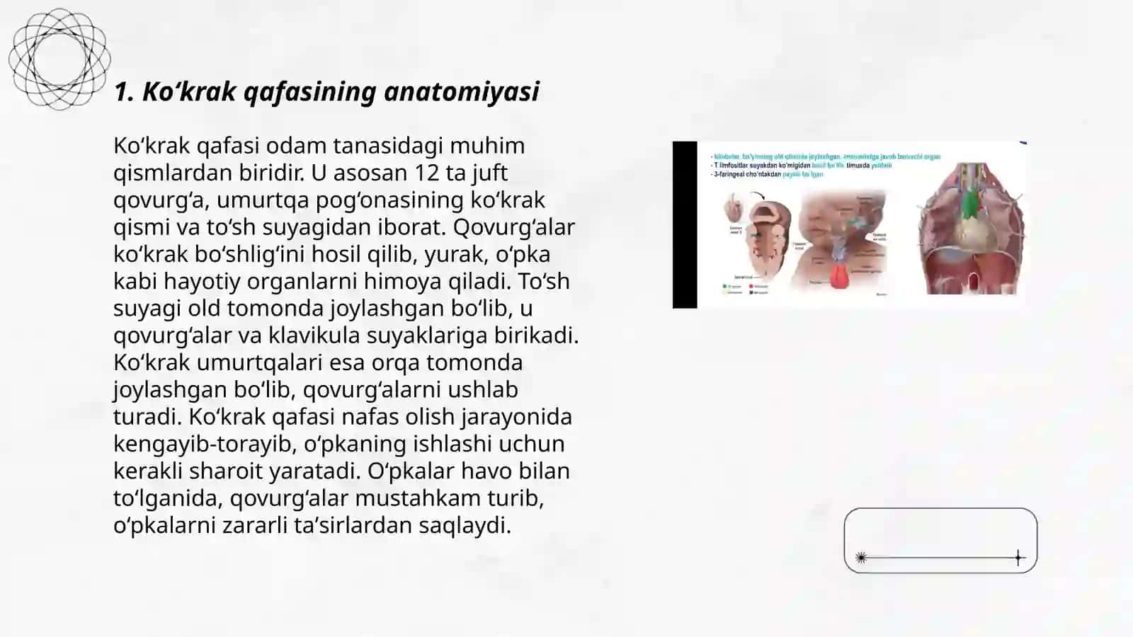 Ko‘krak qafasining limfa drenaji va ayrisimon bez 3
