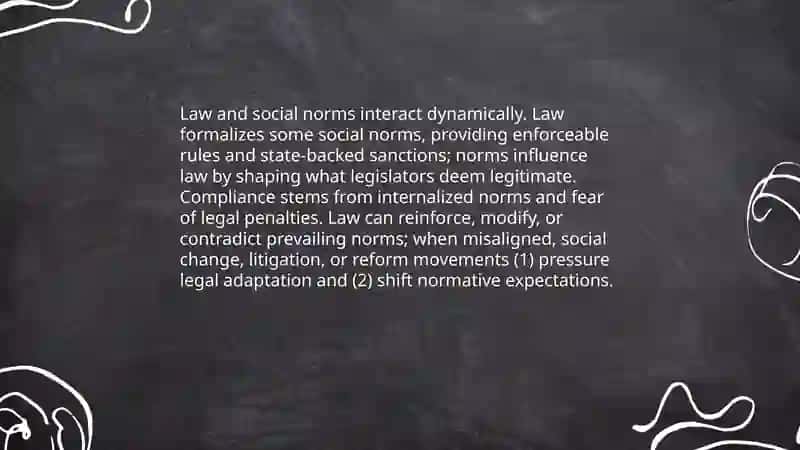 Law and Society 3