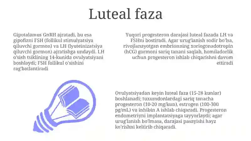 Jinsiy siklning gormonal boshqariluvi mexanizmi 3