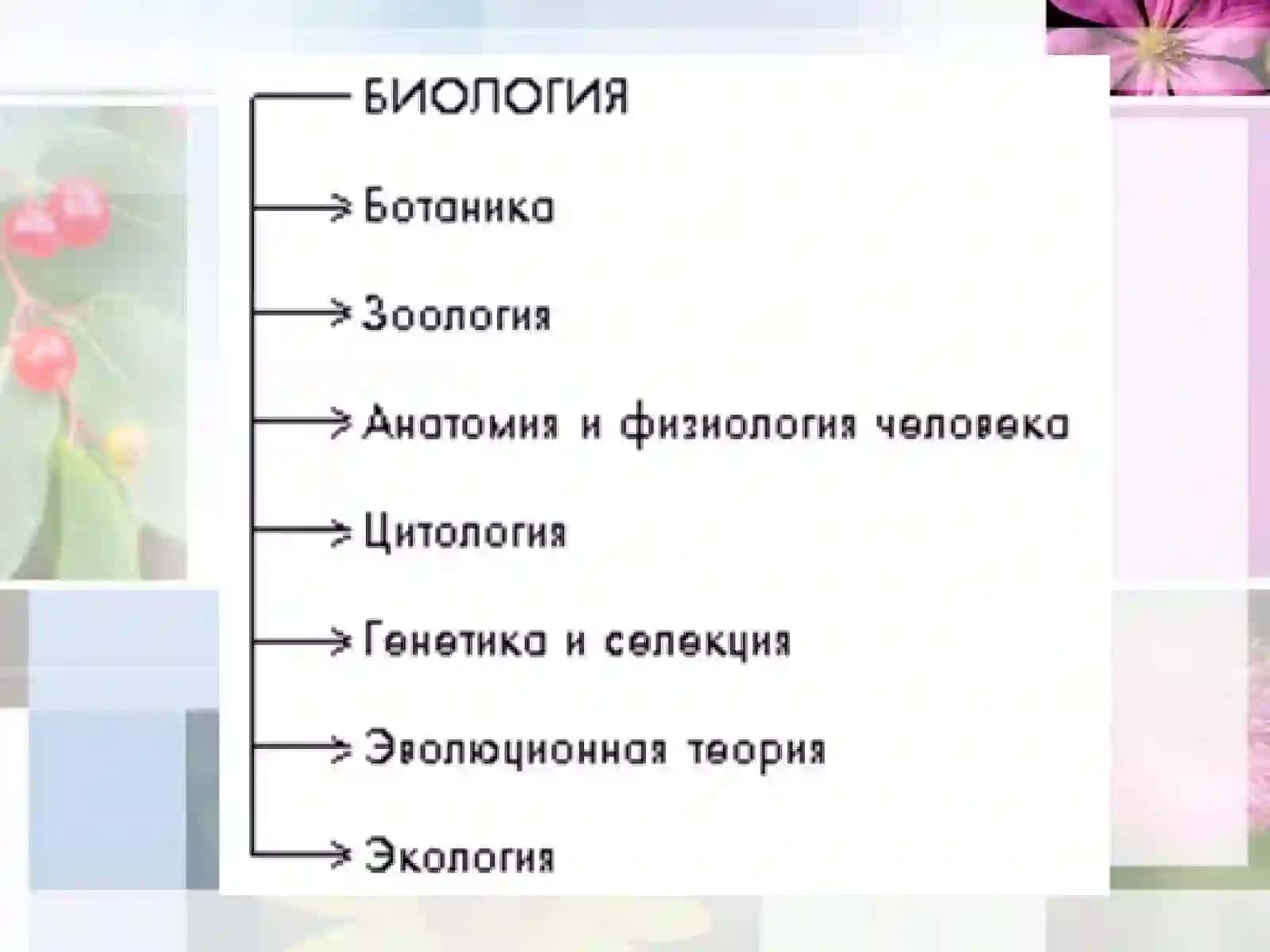 6-sinf Botanika dars ishlanma. Ботаника - наука о растениях 3