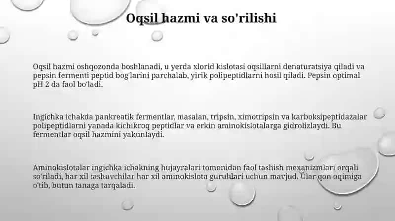 Oqsil Hazm 3