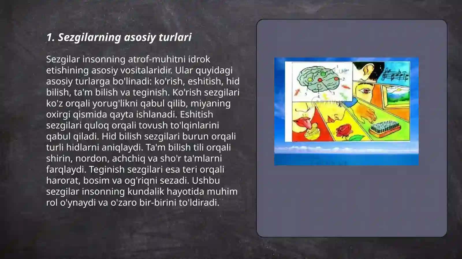 Sezgilarning klassifikatsiyasi 3