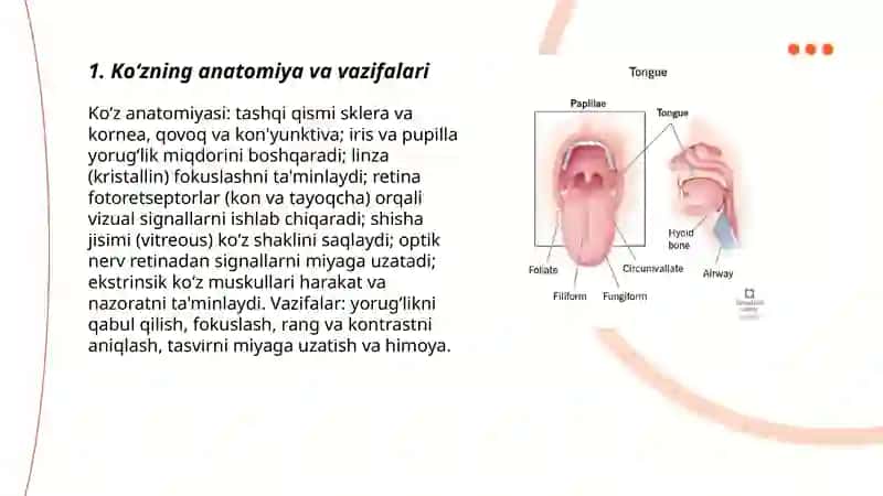 Inson sezgi organlari 3