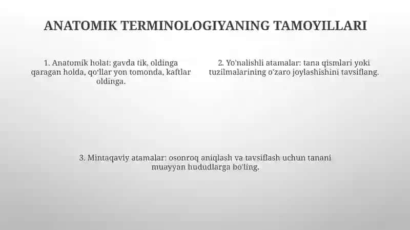 Anatomik Iboralar Tarjimasi 3