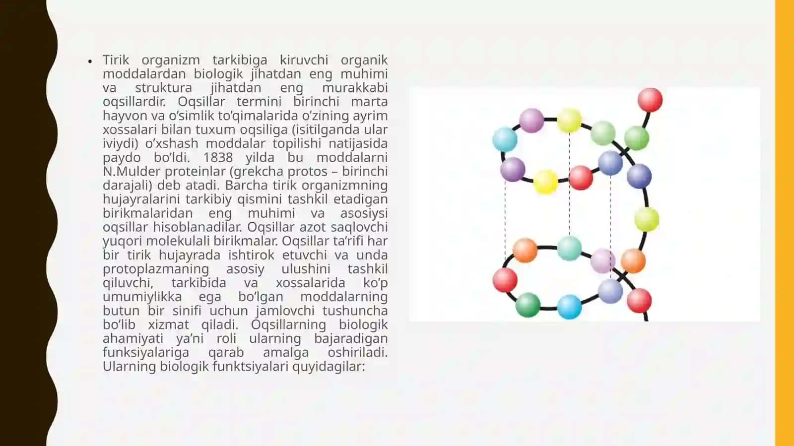 Oqsillarning biokimyoviy almashinuvi 3