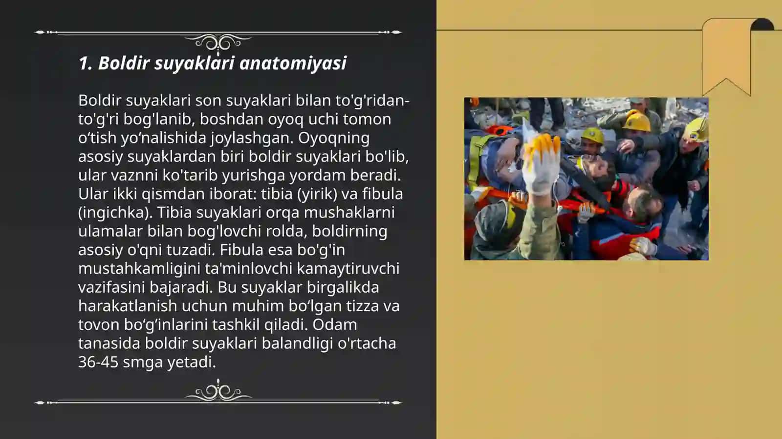 Boldir suyaklarining oʻzaro birlashuvi 3