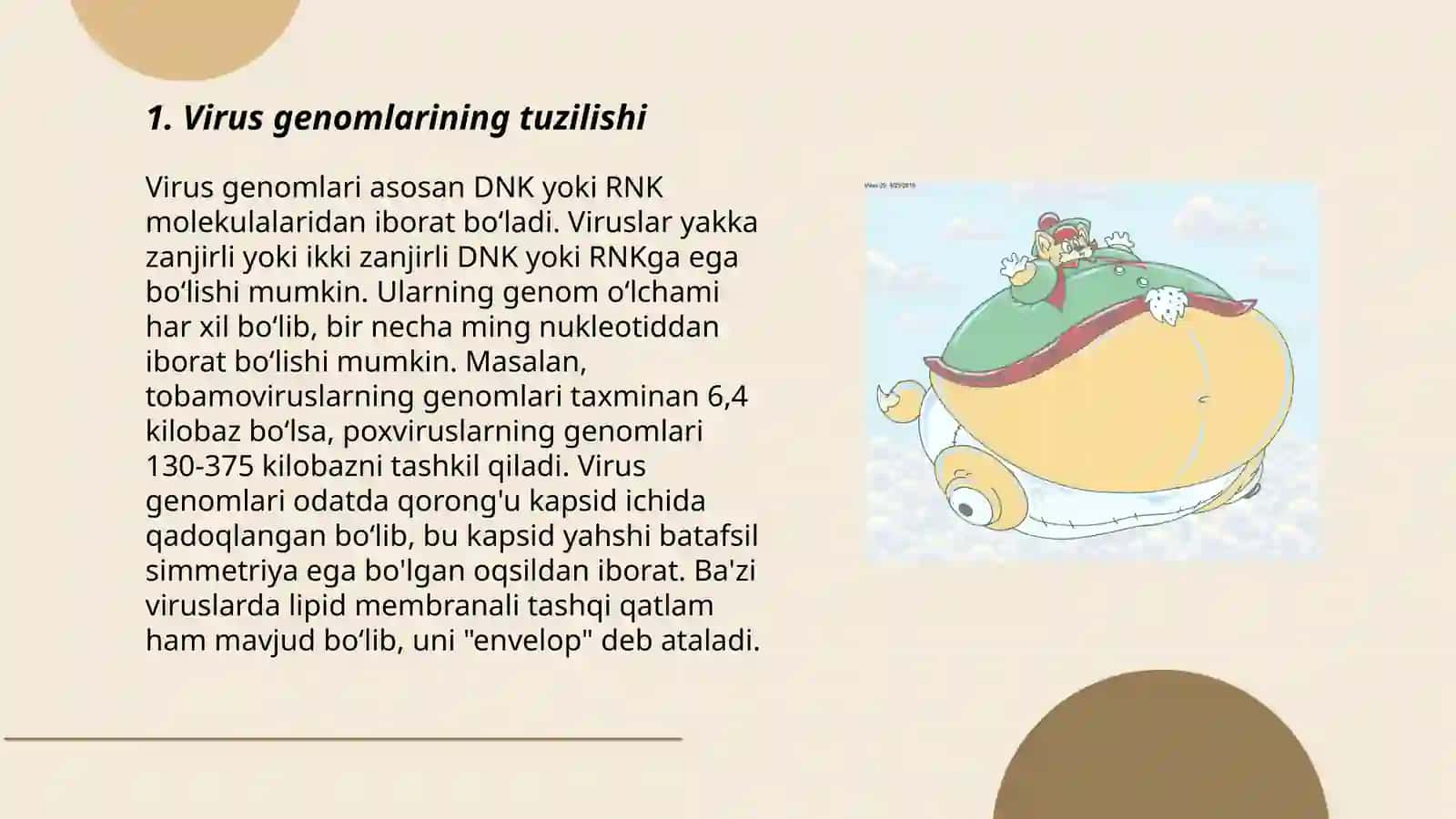 Virus genomlarining transkripsiyasi va replikatsiyasi 3