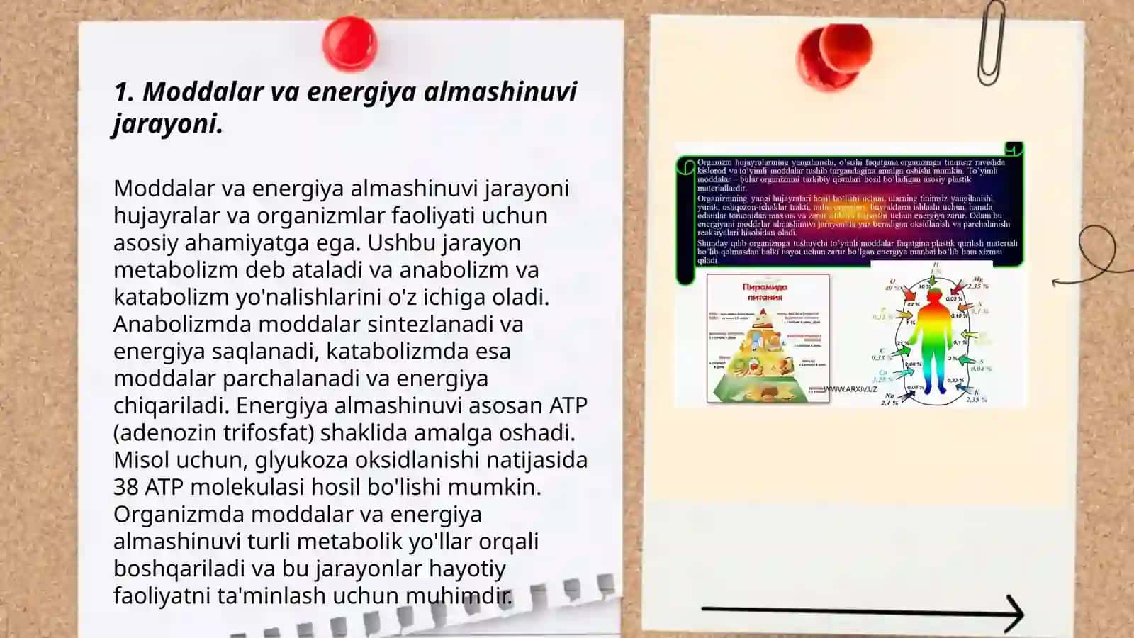 Moddalar va energiya almashinuvi 3