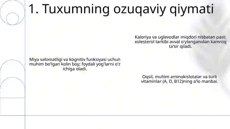 Tuxum va un ishlab chiqarish 3