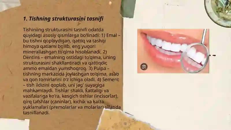 Tish va tishlar qatorini tekshirish xususiyatlari 3