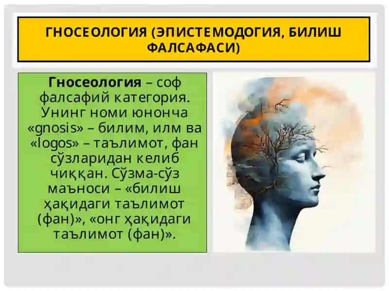 БИЛИШ ФАЛСАФАСИ 3