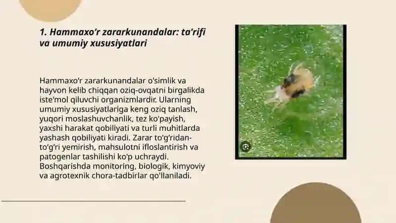Hammaxoʻr zararkunandalar 3