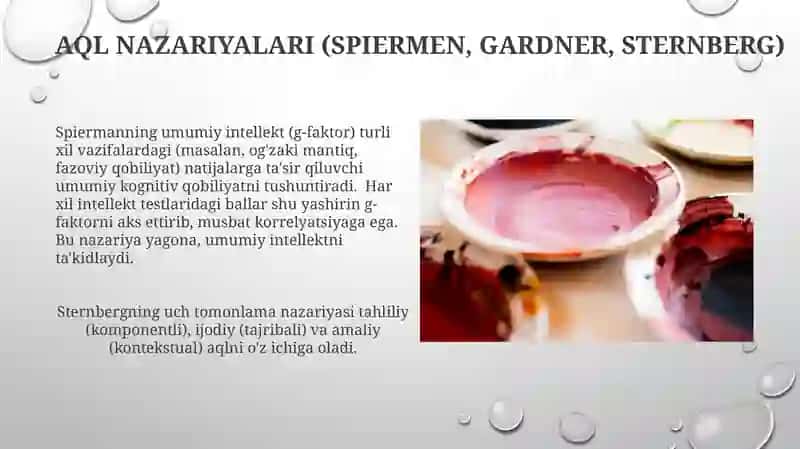 Tafakkur borasidagi psixologik nazariyalar. Intellekt va kreativlik nazariyalari 3