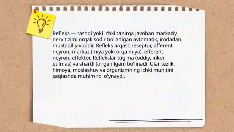 Reflekslar haqida tushuncha 3