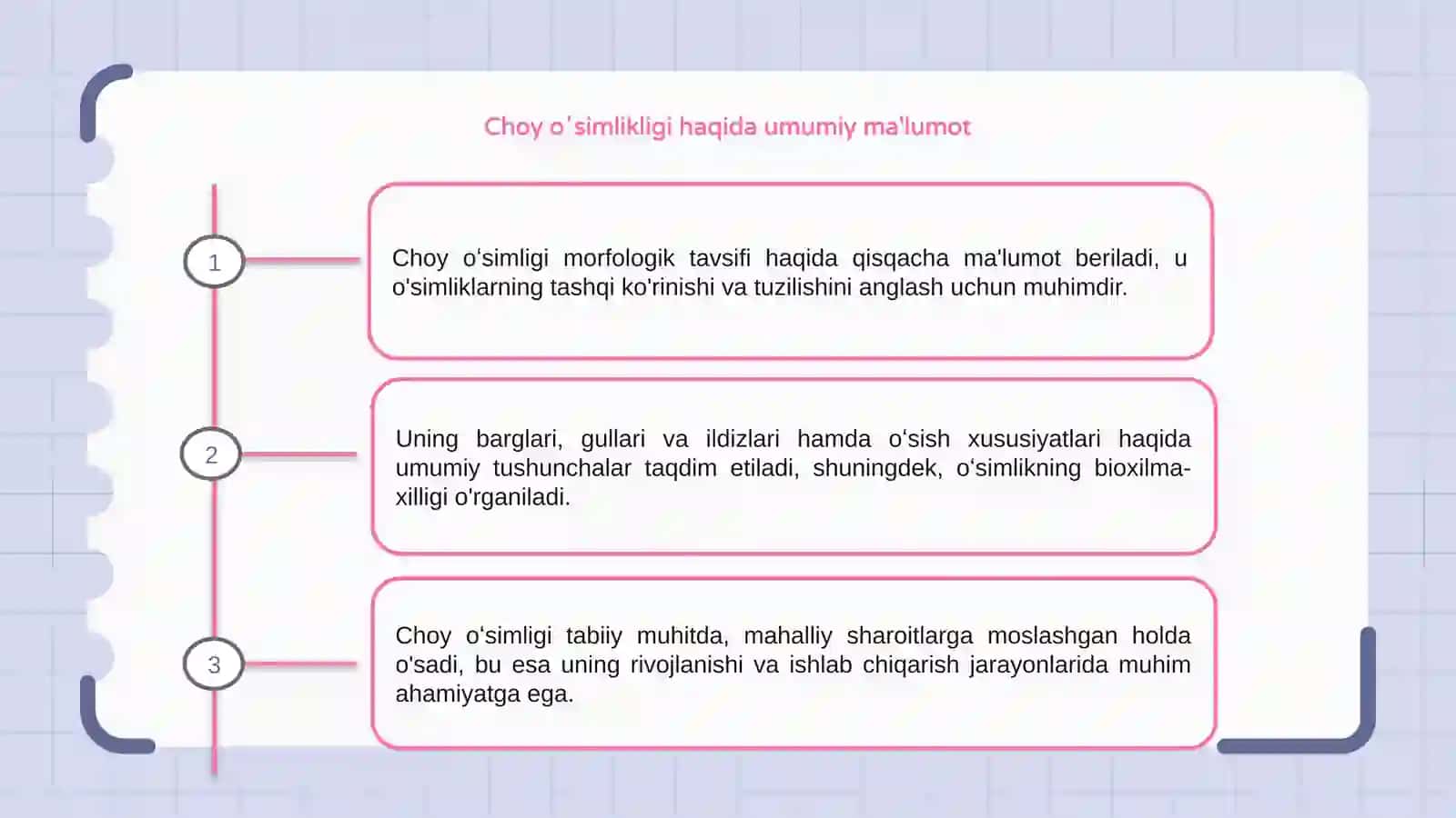 Choy oʻsimlikligini morfologik tavsifi 3