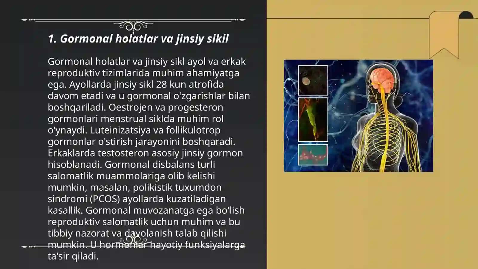 Jinsiy sikilning gormanal boshqaruv mexanizmi 3