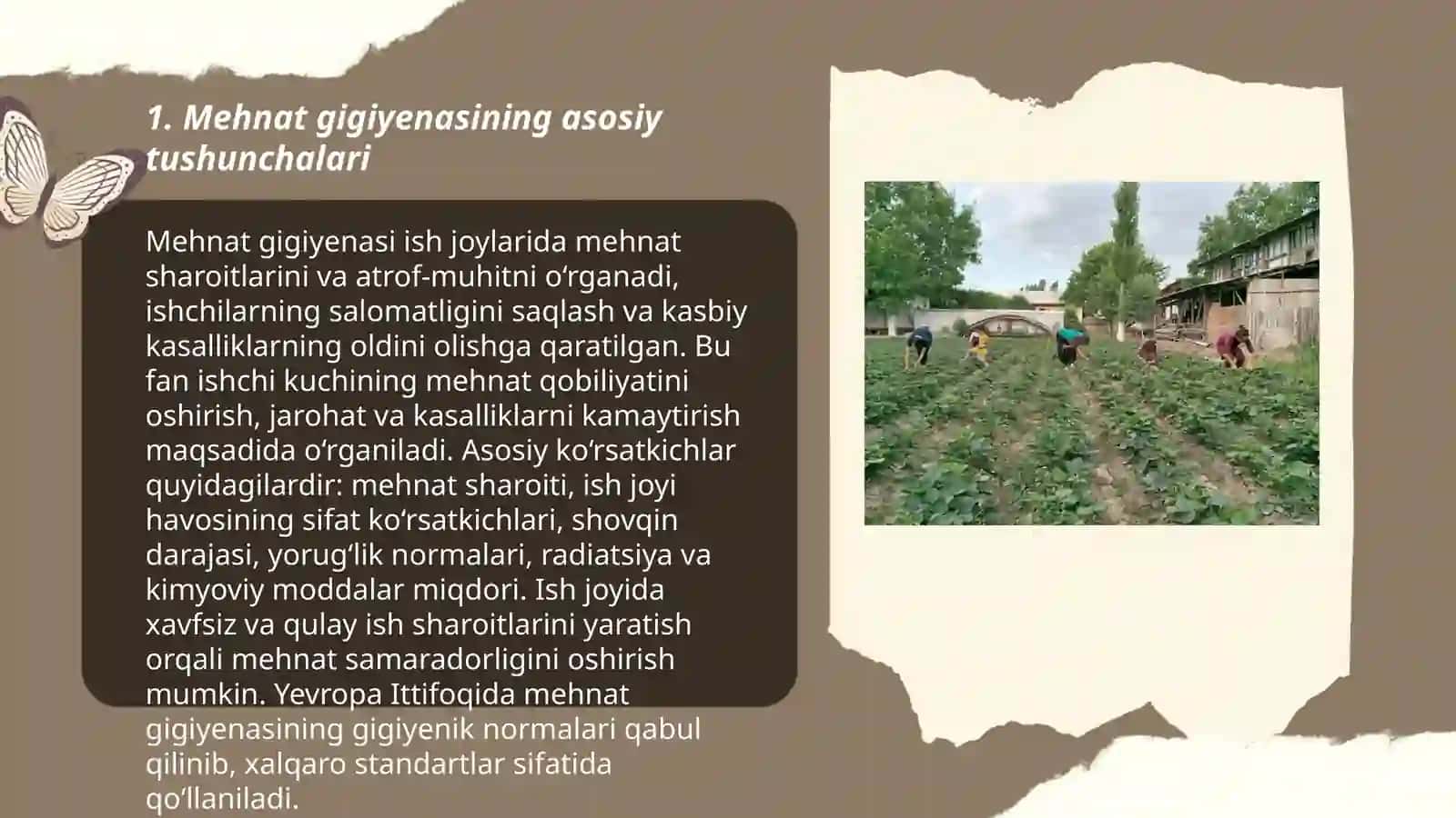 Mehnat gigiyenasi meʼyorlari 3