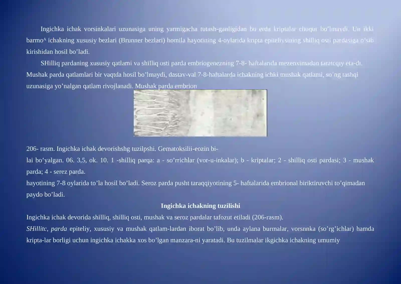 Ingichka va yo’g’on ichakda oziq moddalarining parchalanishi 3