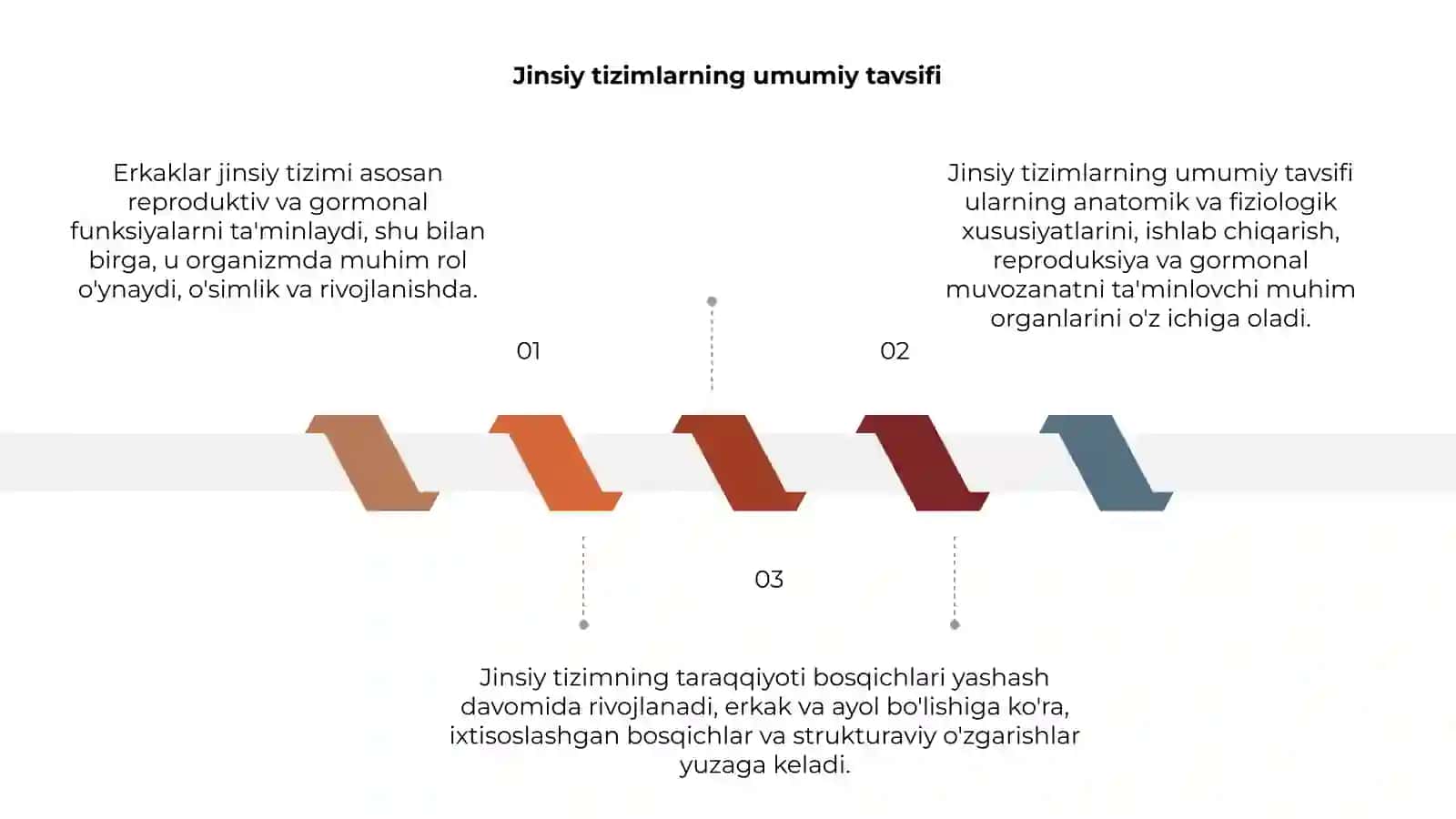 Erkaklar jinsiy tizimi 3