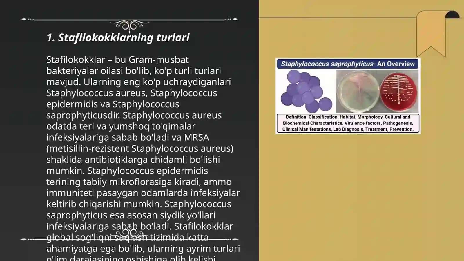 Stafilokokklarning turlari 3