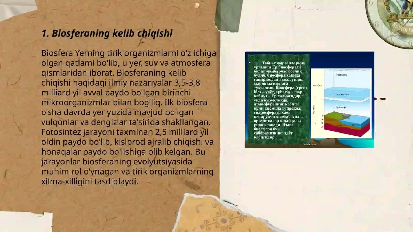 Biosfera haqida tushuncha 3