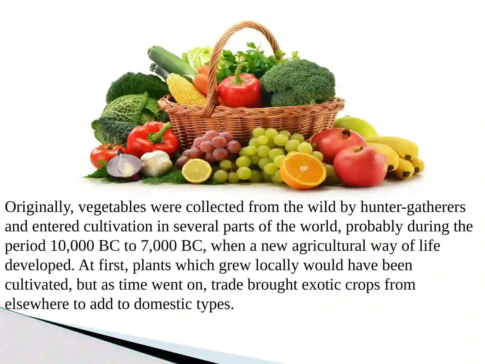 Independent workSlideshare from English 3