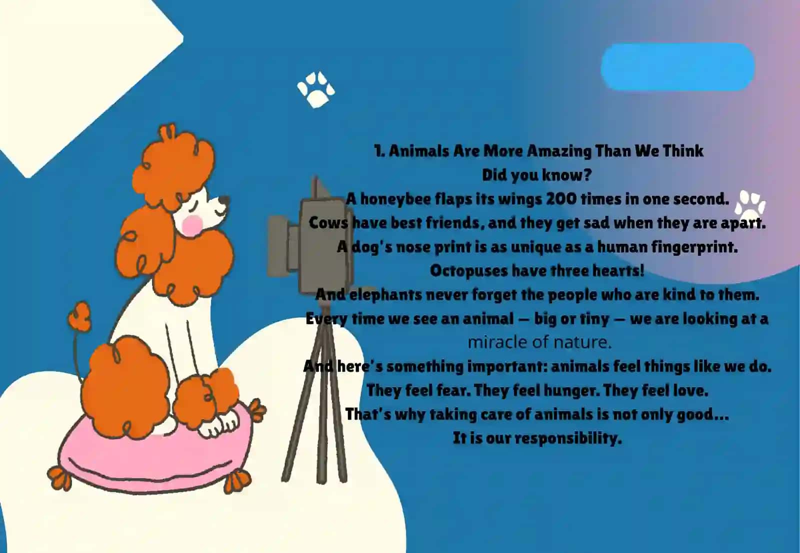 Taking Care of Animals 3