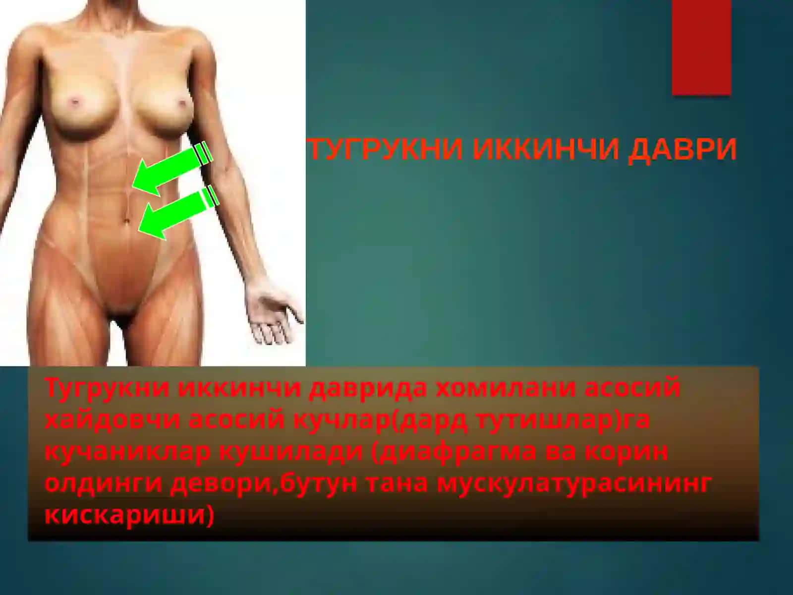 Коникарсиз тугрук фаолияти 3