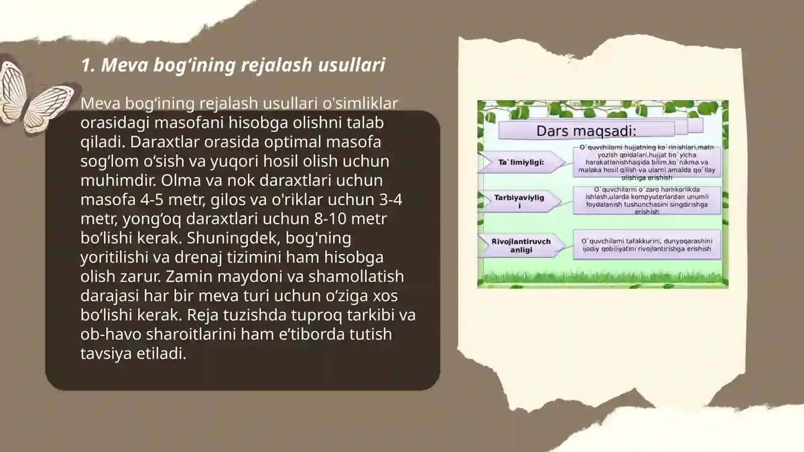 Meva bogʻlarini rejalash va ekish tartibi 3