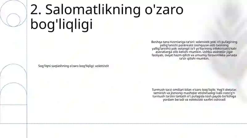 Xolisistit 3