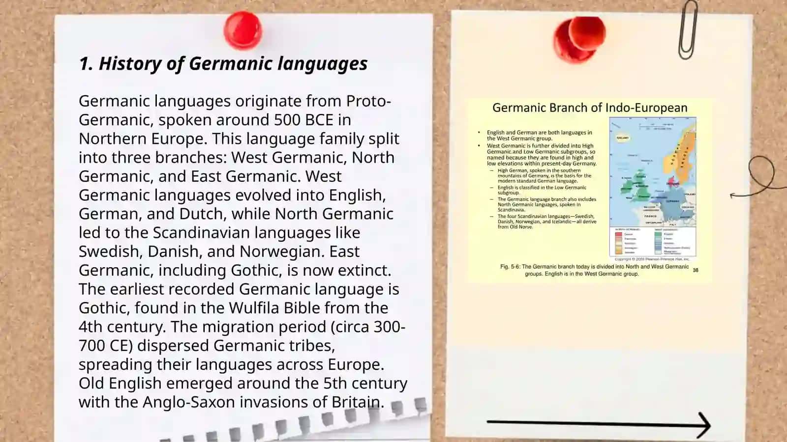 The Germanic languages 3