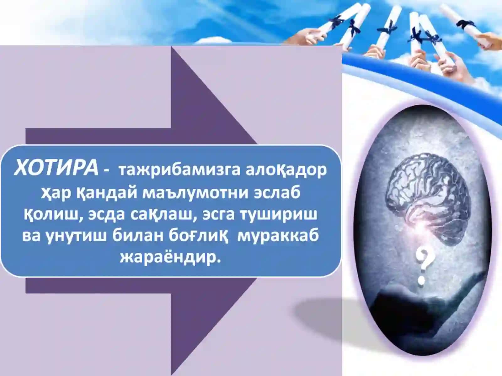 Хотира ва унинг асосий механизмлари 3