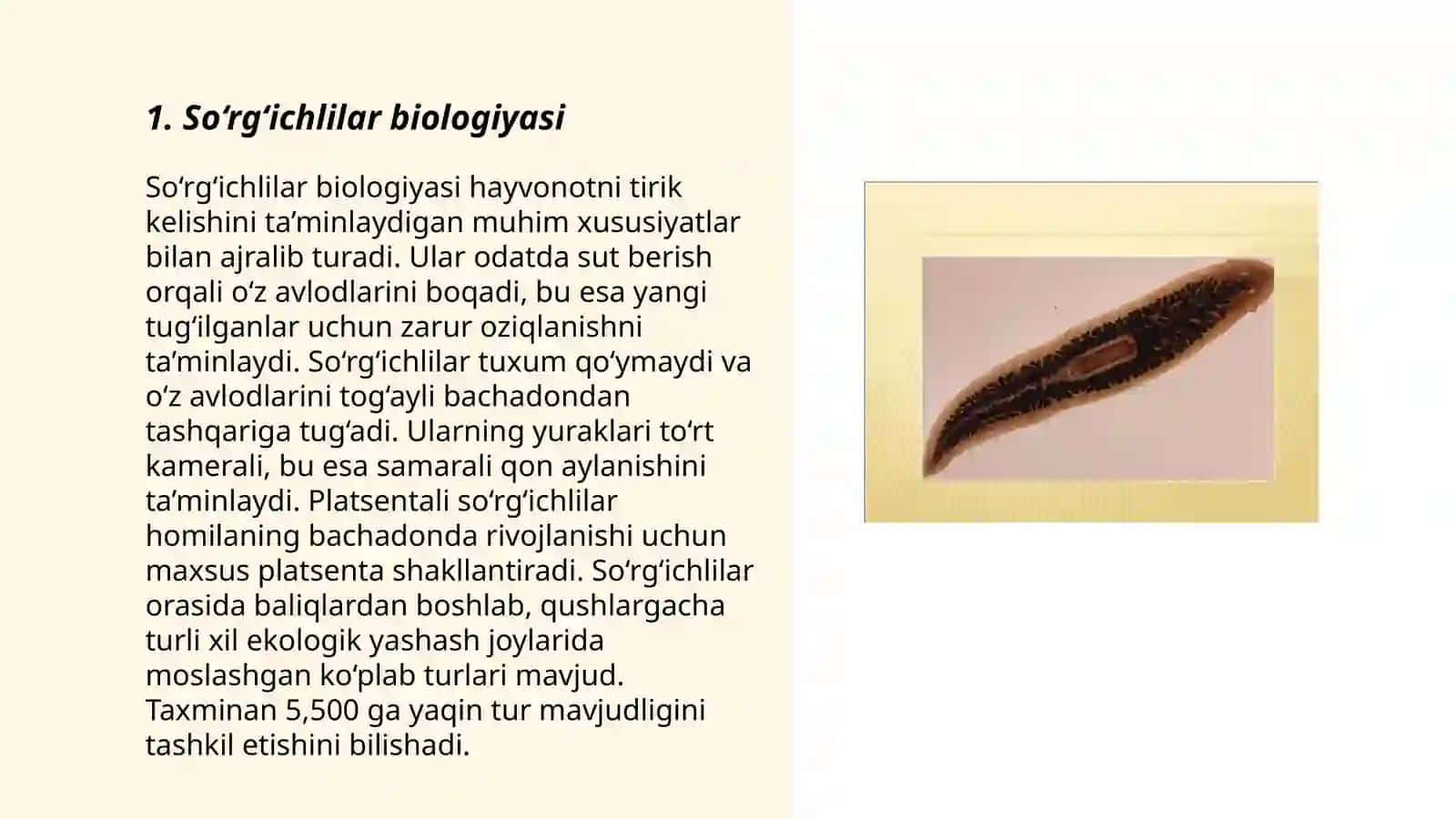 So‘rg‘ichlilar biologiyasi 3