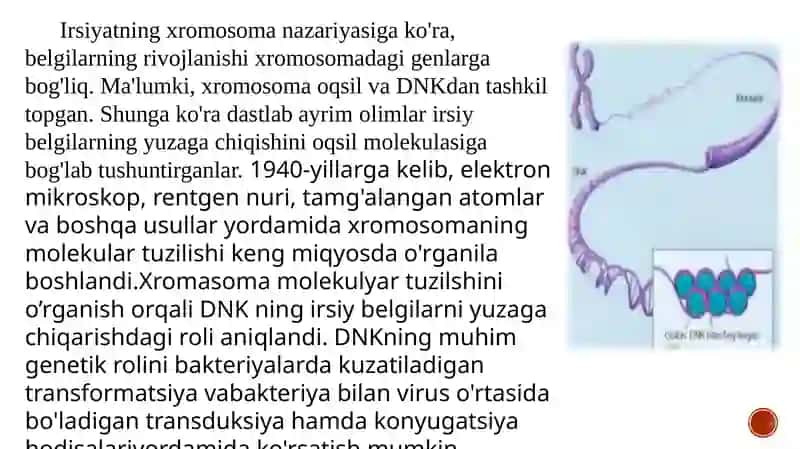 Irsiyatning Molekulyar Asoslari 3