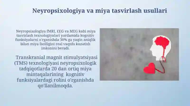 Neyropsixologiya va miya tasvirlash usullari 3