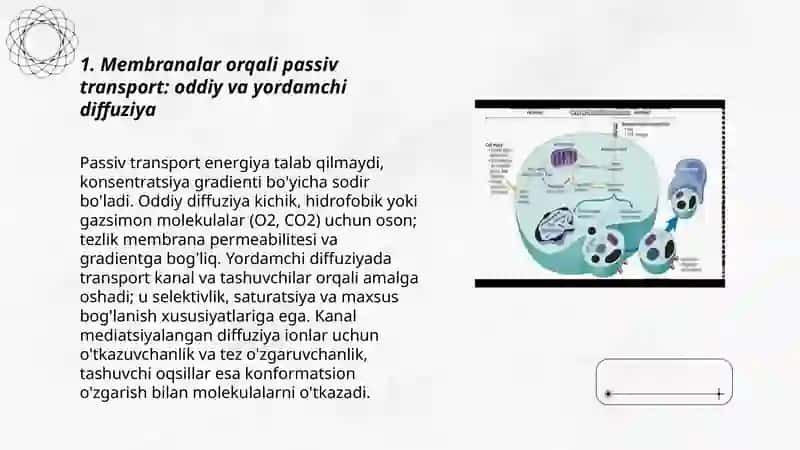 Membranalar orqali transport mexanizmi 3