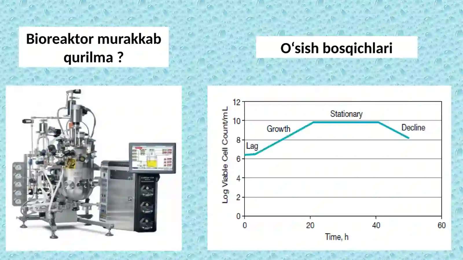 Bioreaktorlar apparatlar va jarayonlar 3