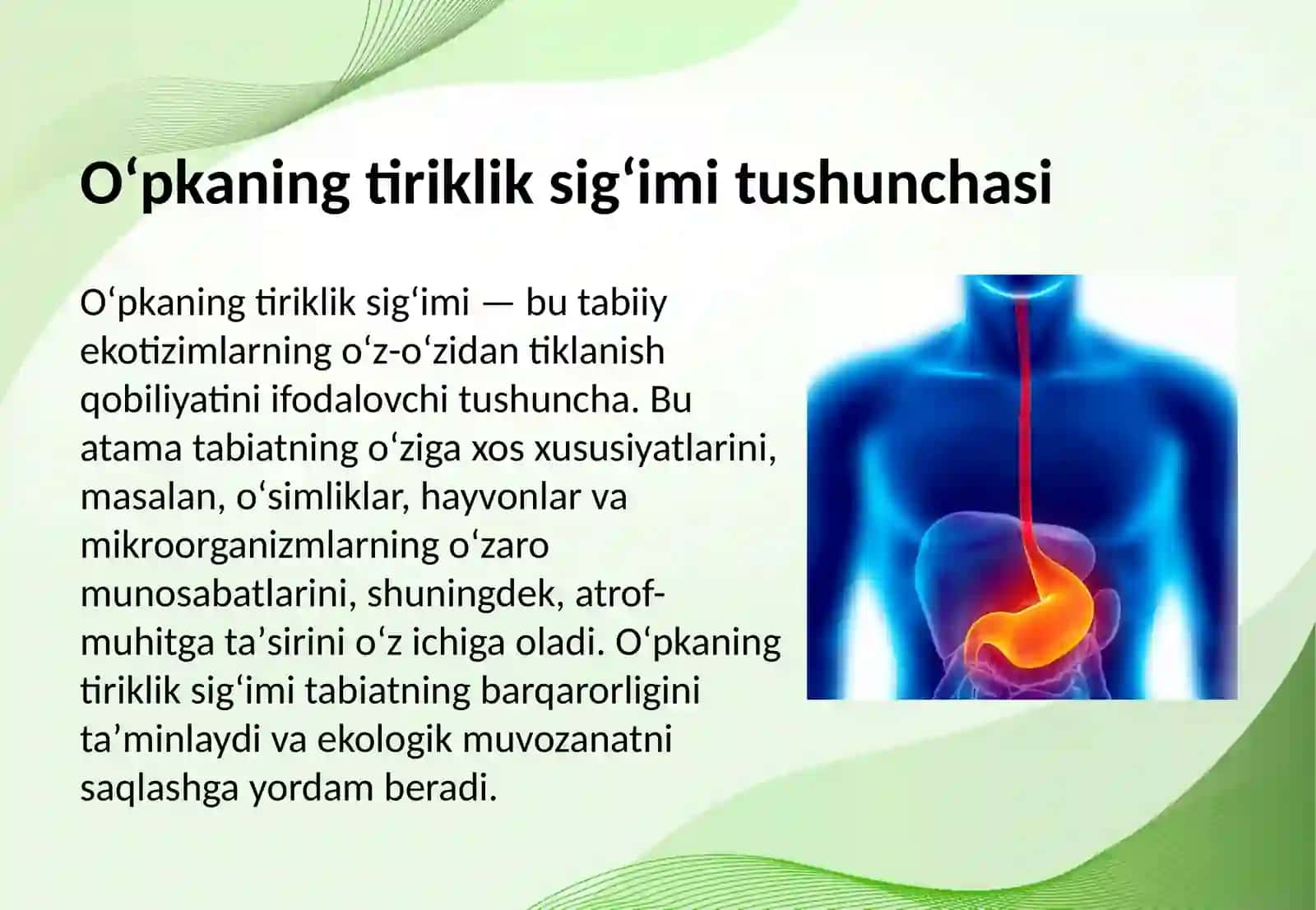 Oʻpkaning tiriklik sigʻimi 3
