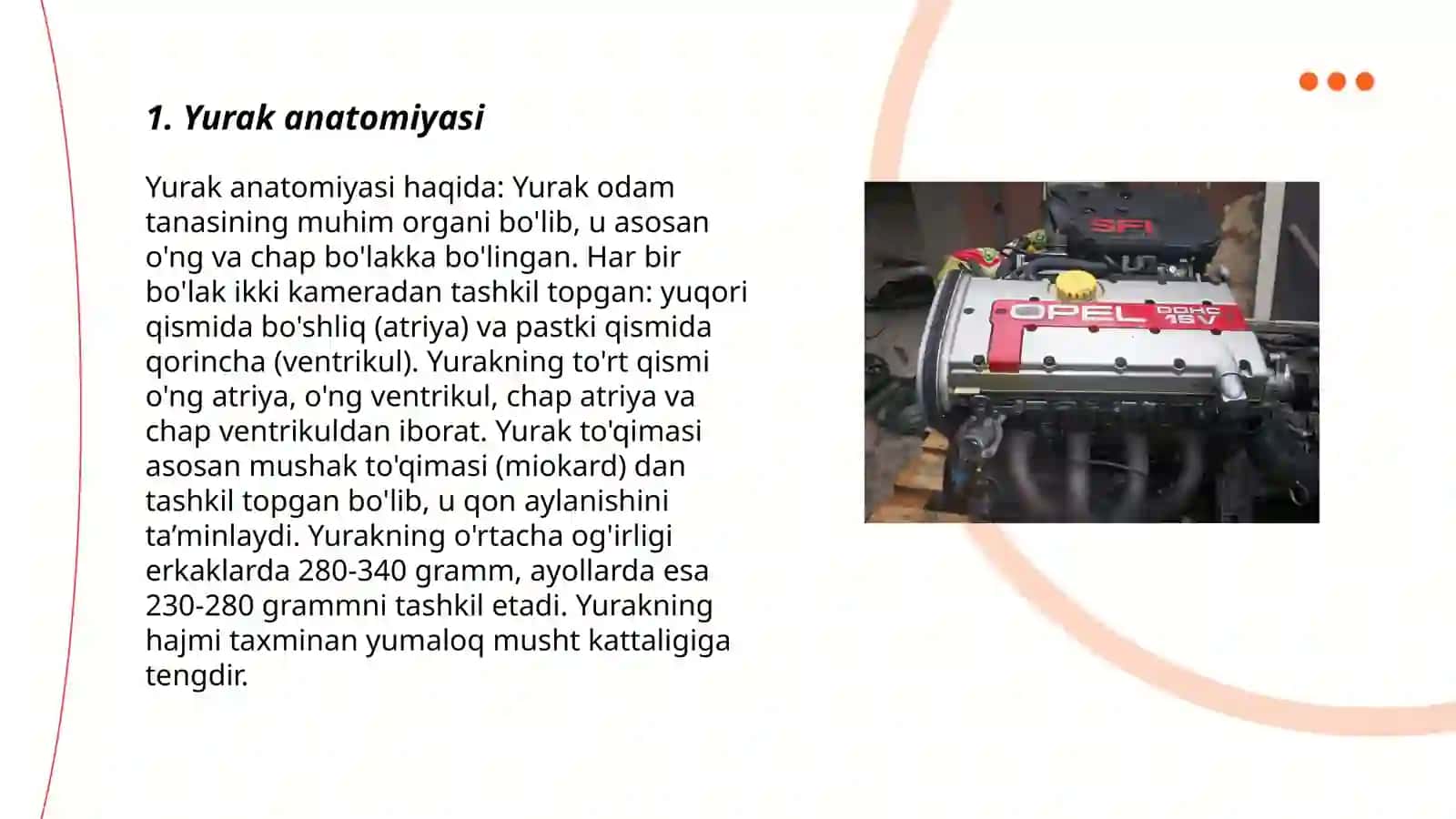Yurak Anatomiyasi 3