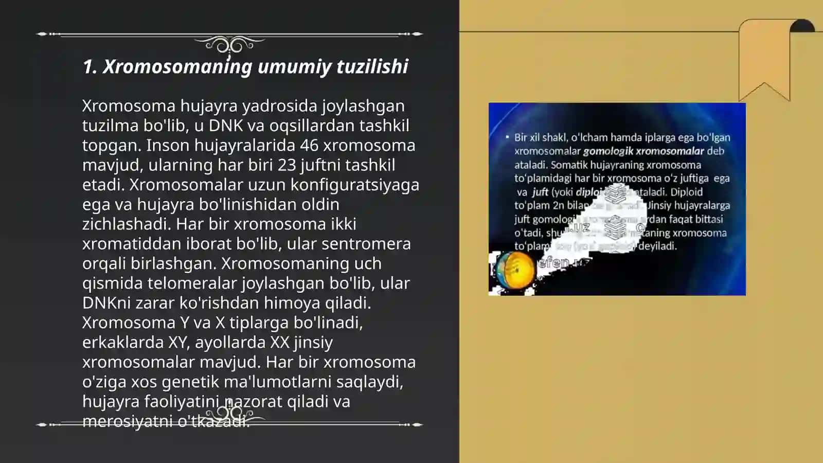Xromosoma uning tuzilishi va tarkibi 3