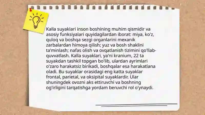 Kalla suyaklarining birlashuvi butun kalla 3
