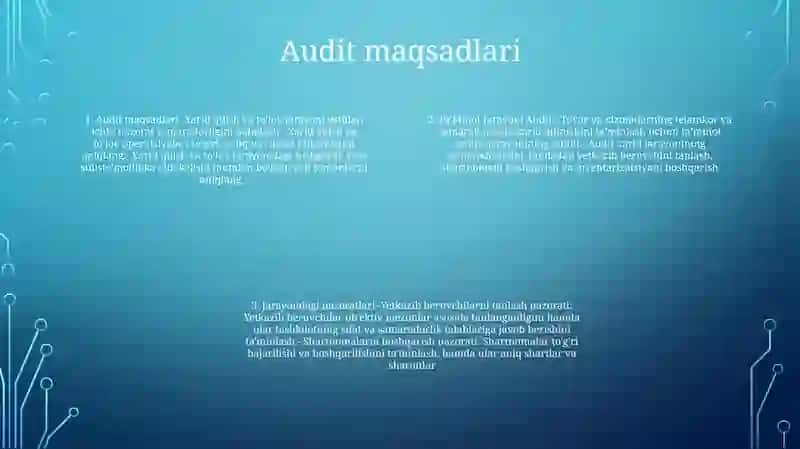 TaʼMinot Jarayoni Auditi 3
