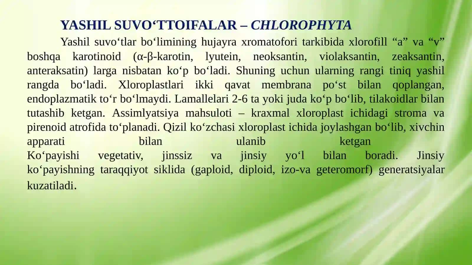 Yashil suvo‘tlari bo‘limi 3