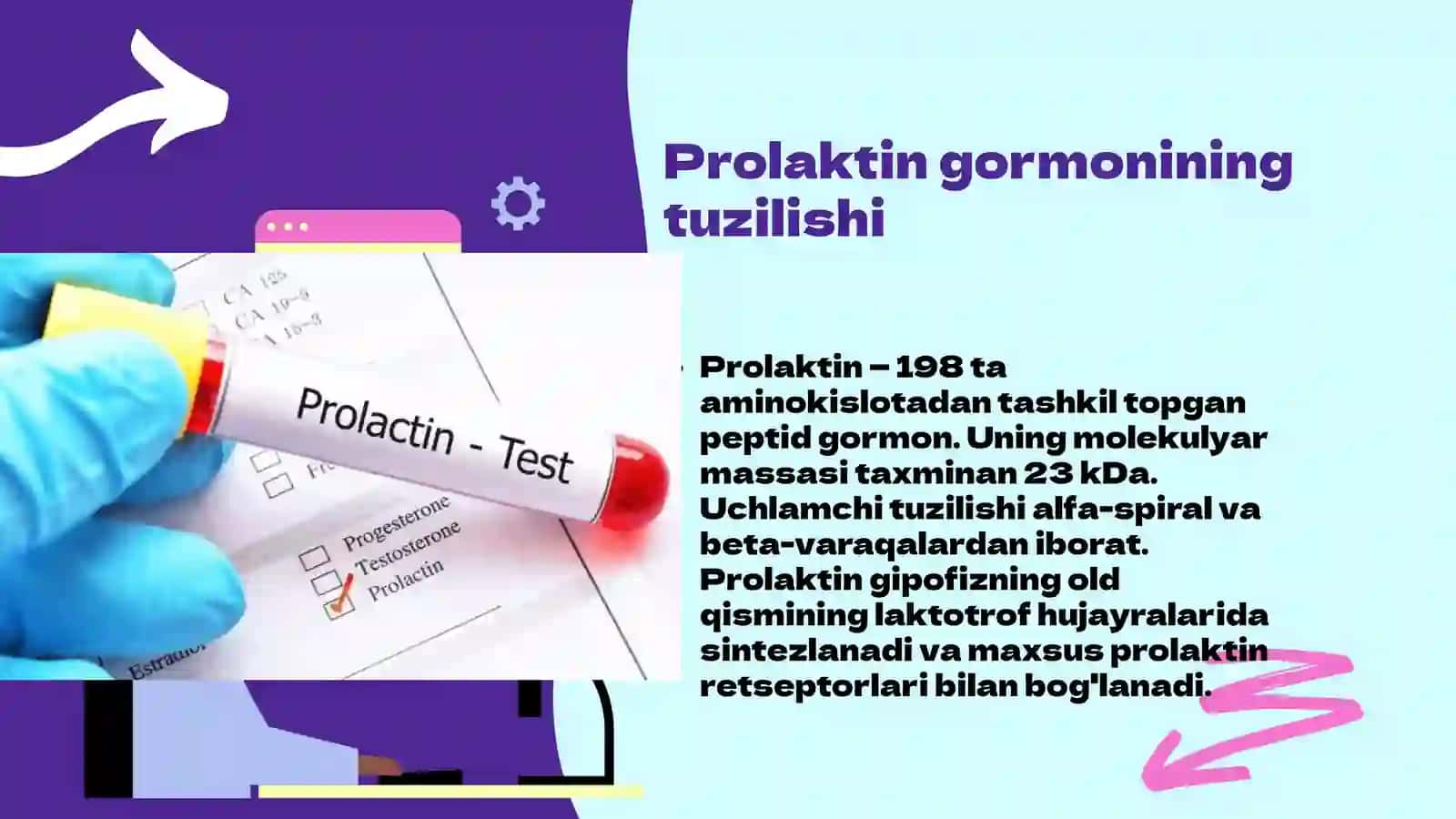 Prolaktin gormoni 3