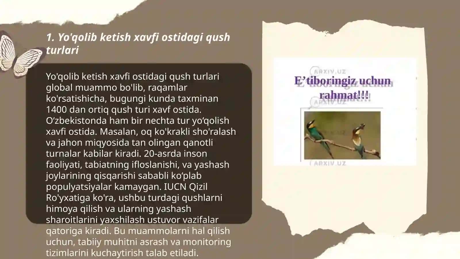 Qushlar muhofaza qilish 3